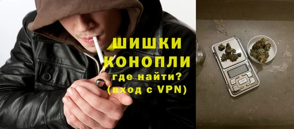 сатива Карпинск
