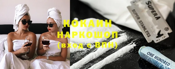 сатива Карпинск