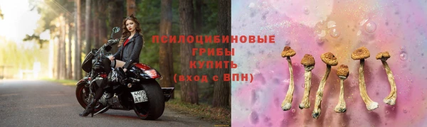 соль ск Горняк