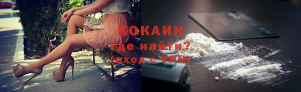 сатива Карпинск