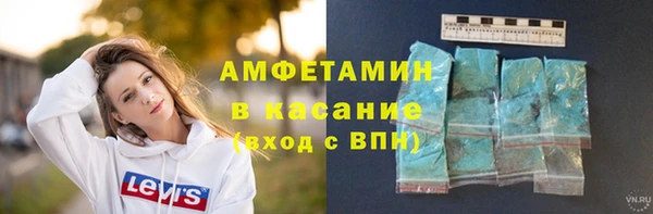 сатива Карпинск