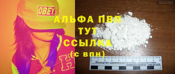 сатива Карпинск