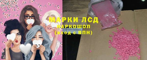 сатива Карпинск