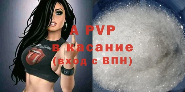 сатива Карпинск